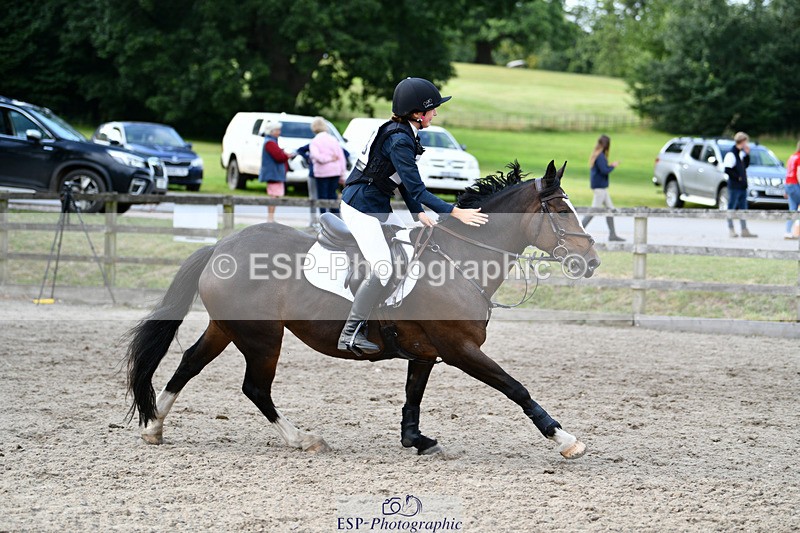 240825X-171026-36982 - 80cm SJ 16.00 to 17.26