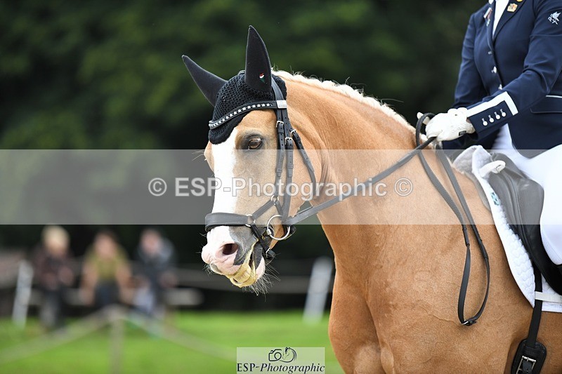 230812-124142-04193 - Cls 6 Novice Silver 12.10 to End