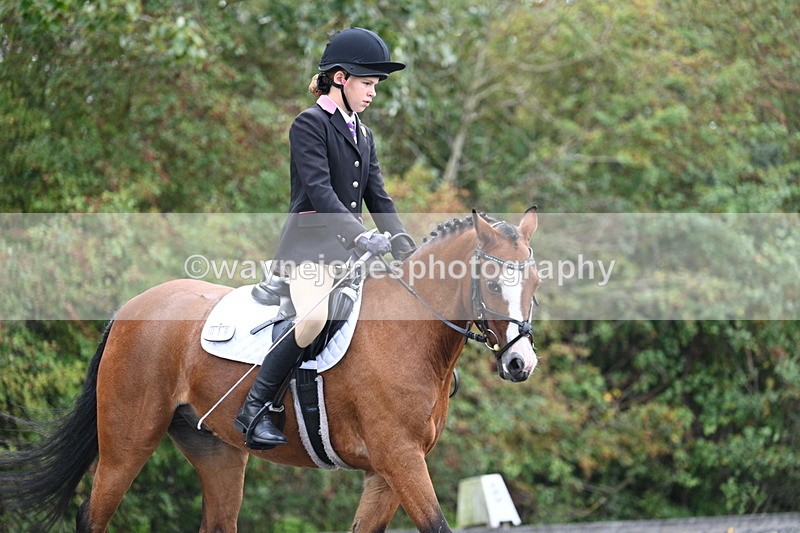 WJ7_3987 - Time 11:04 to 11:38