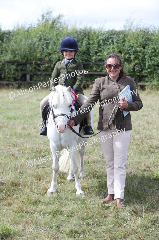 20250831-3224 - Class 24 - Absolute Beginners Pony