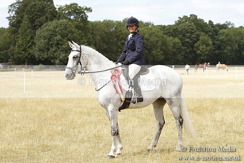 _BS_1023 - Working Hunter Championship BVRC Show 2018