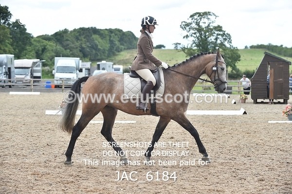 JAC_6184 - NOVICE 6