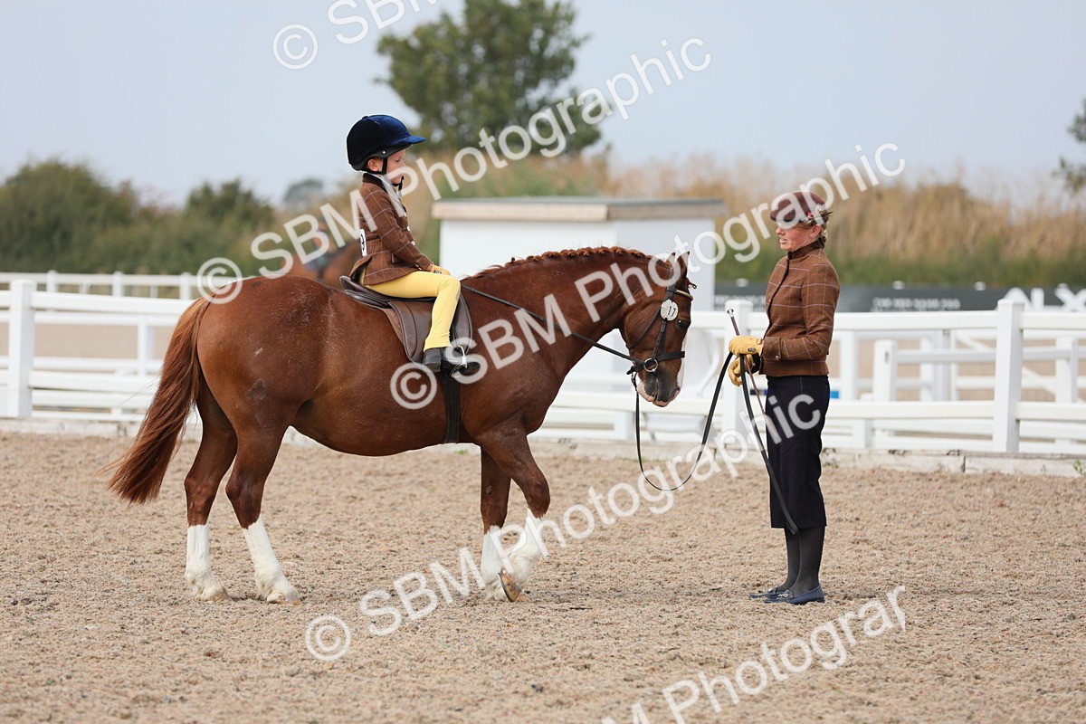 SBM_16890 - Class 314 Family Horse/Pony