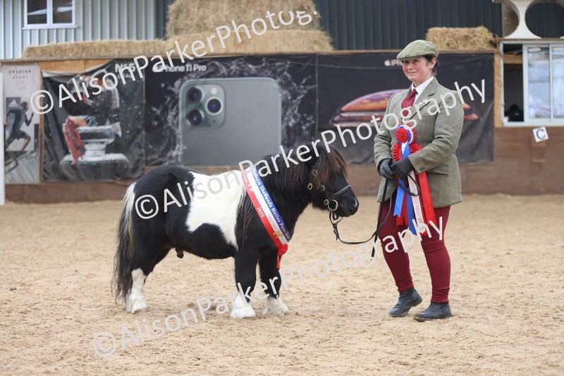 20251109-0454 - Championship