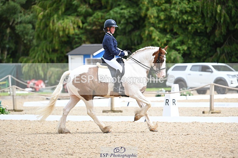 230813-123930-07119 - Cls 13 Medium Bronze Start to 13.00 break