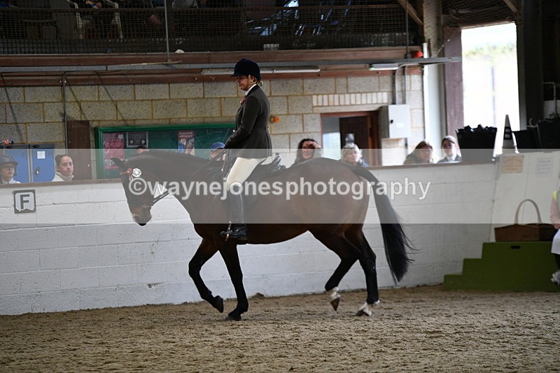 WJ5_6301 - Class 9 Ridden Veteran