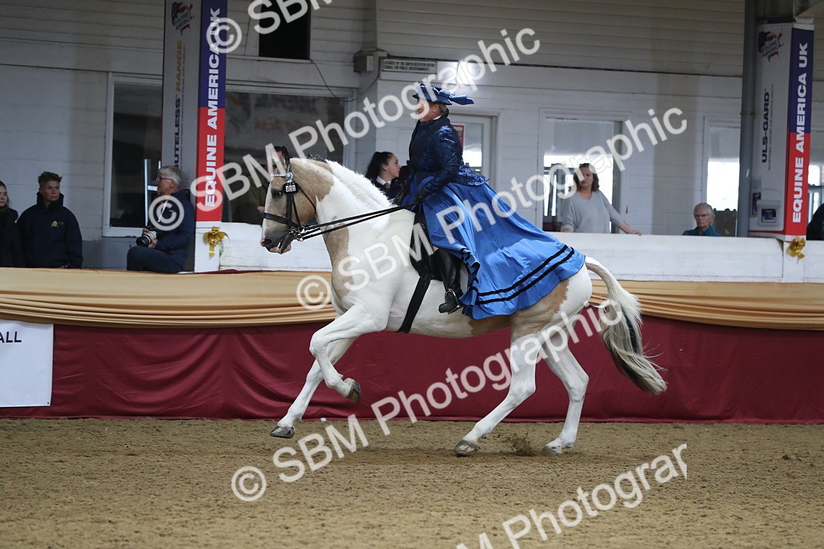 SBM_12043 - Class 106 Ridden Costume- Astride Adult (15-19)