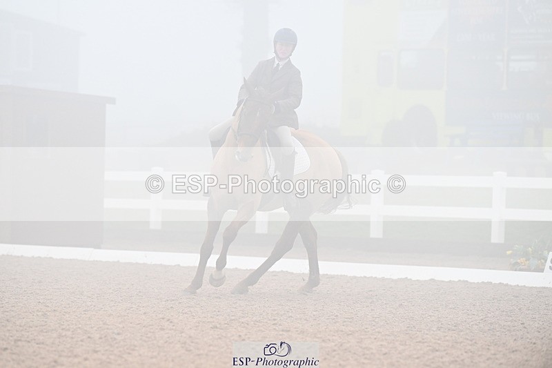 240217A-130517-02747 - 239-Sophie.Hawke-Dionysus