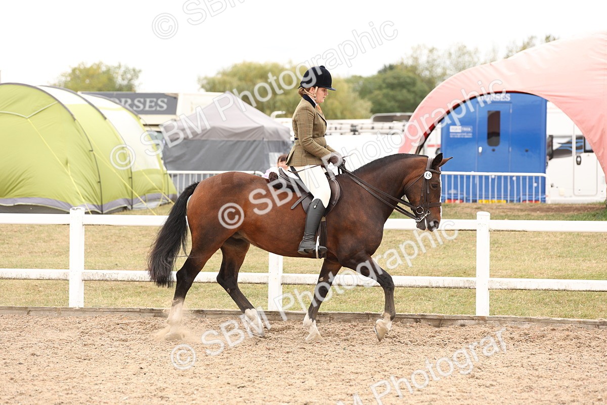 SBM_19494 - Class 215 - Ridden Show cob