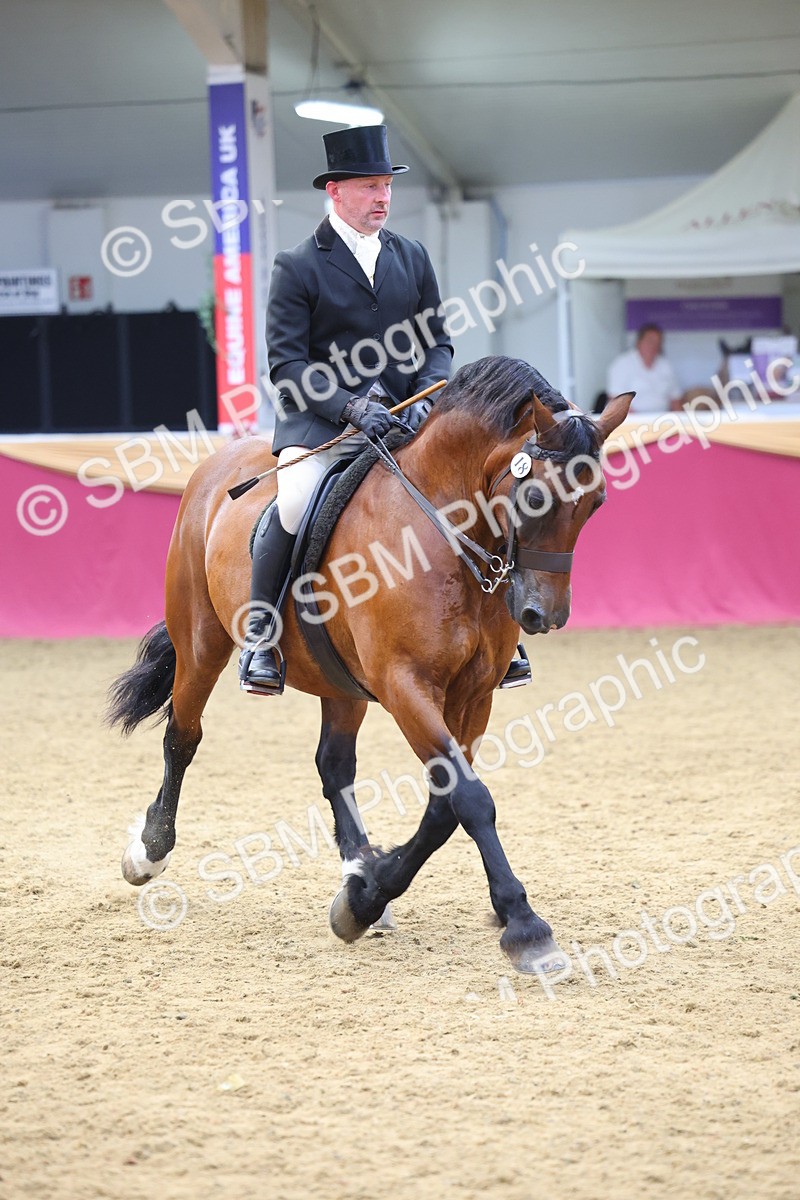 SBM_24439 - Class 906 - Supreme Final - Ridden Pre Vet