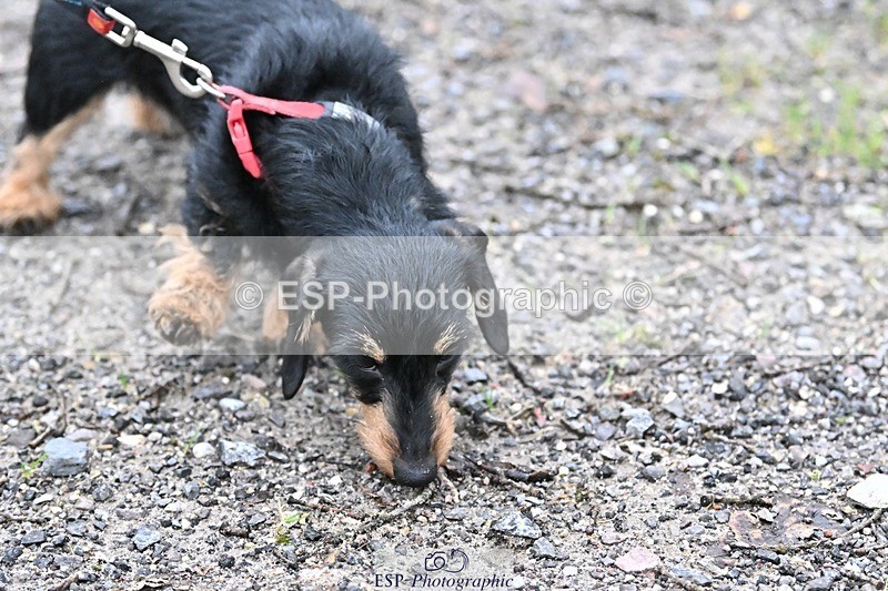 241206-144335-01140 - Naomi