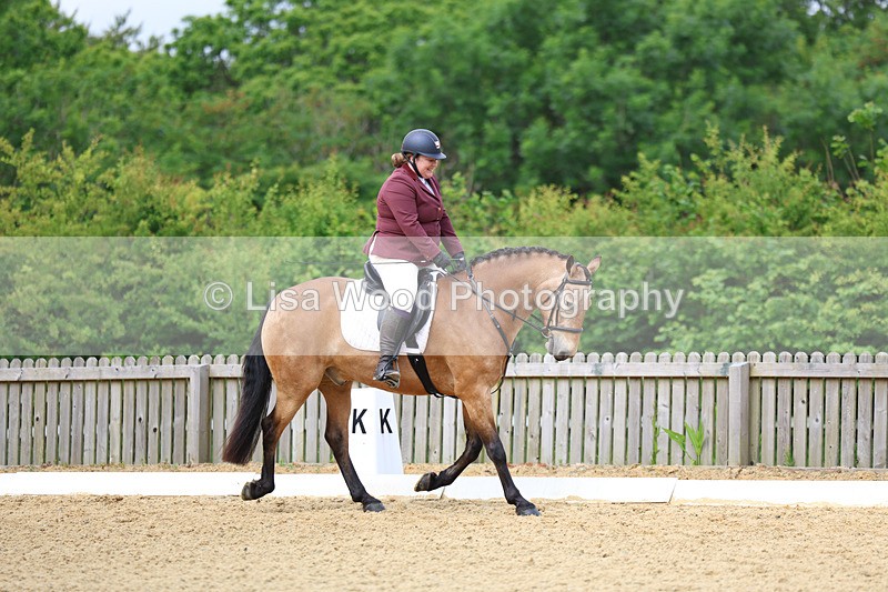 3E7A9126 - Class 2: Intro 1 2024 Section B