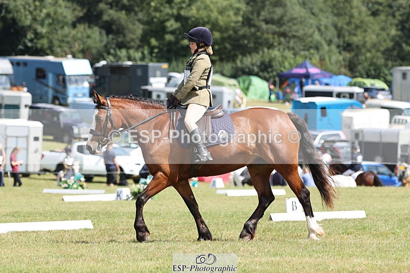 240824X-131417-27263 - D80 Section G and H 12.00 to 13.30