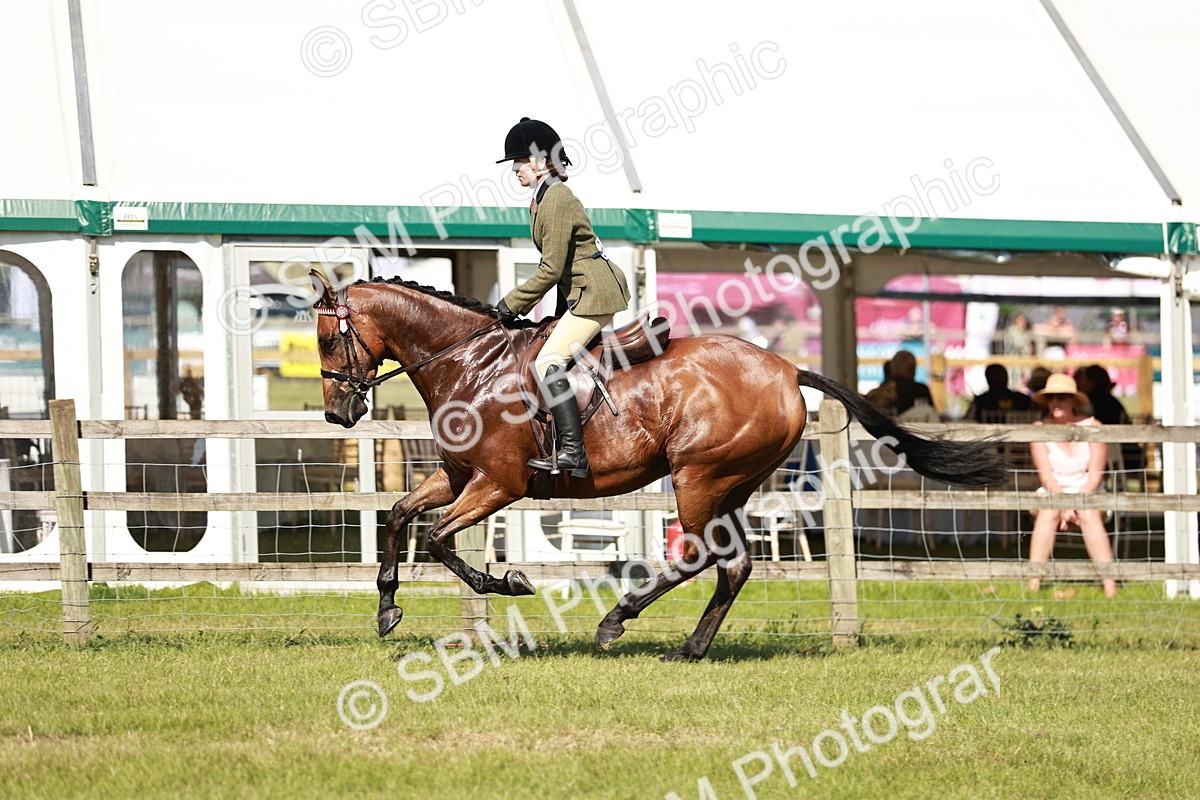 SBM_18890 - Class 114 - RIHS & SEIB Open Working Show Horse