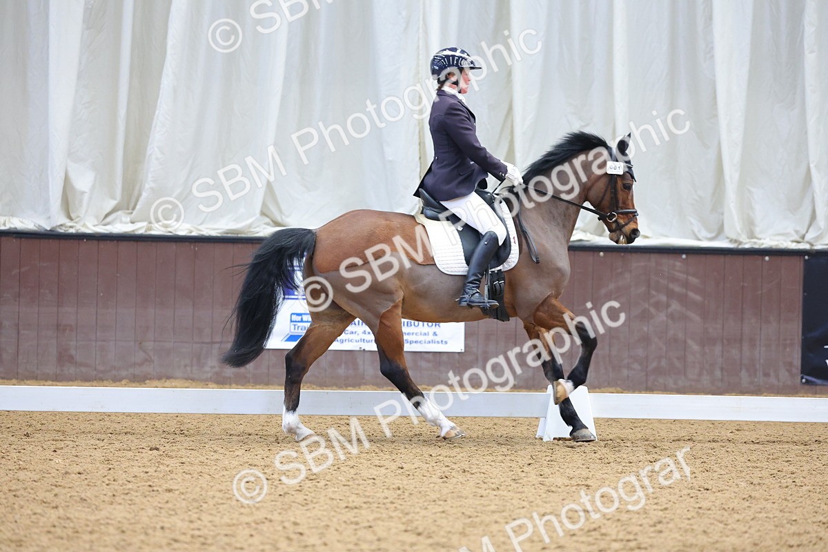 1I0A8767 - Class 4 - Novice 4