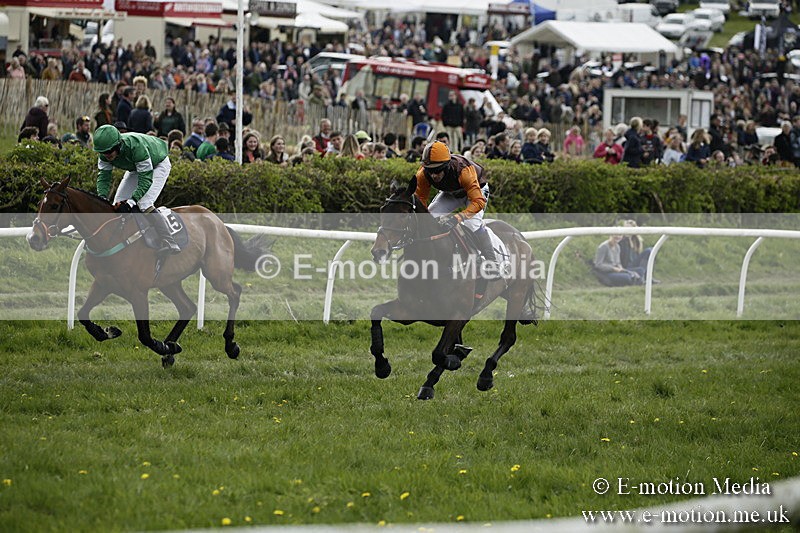 PtP 170417 197 - Old Berks Point-to-Point Lockinge 17/04/17