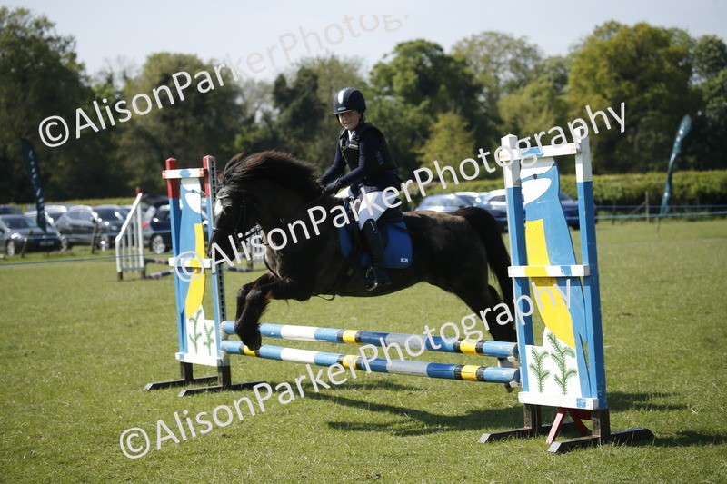 20250427-2027 - Class 13 - Novice Jumping 60cm