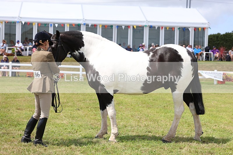 3E7A2102 - Class 10: Open Cob