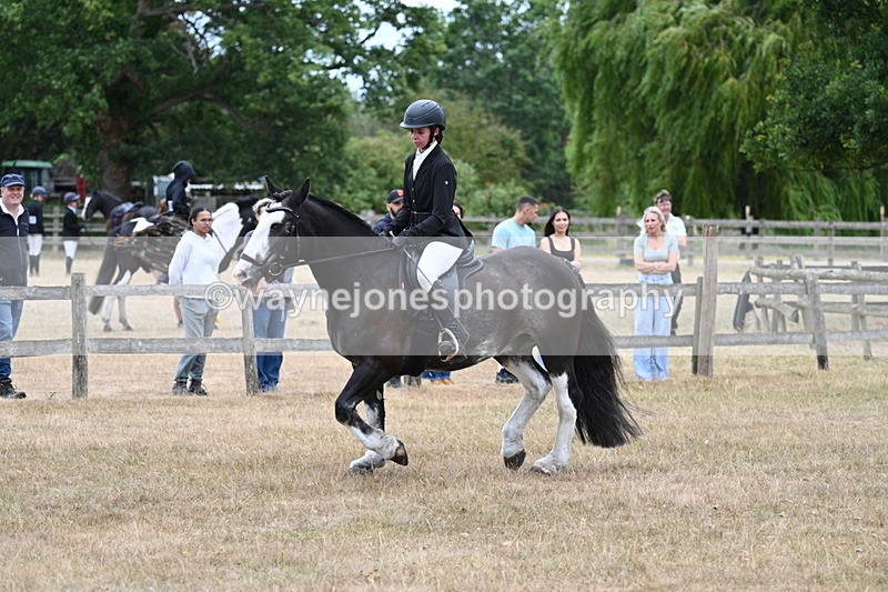 WJ7_7104 - Class 2 Best Rider