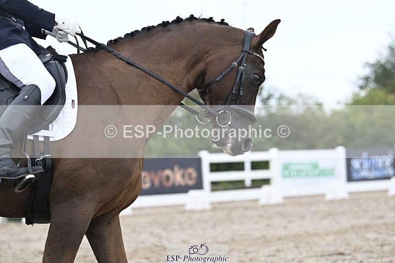 250907-152433-09067 - 108-Susan.JonesWoodlander.Summer.Breeze