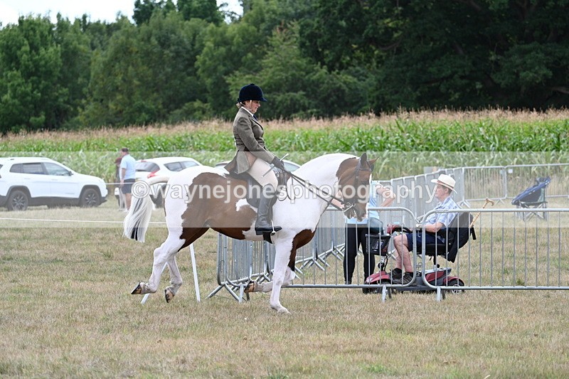 WJ7_5222 - Class 12 Ridden Cob