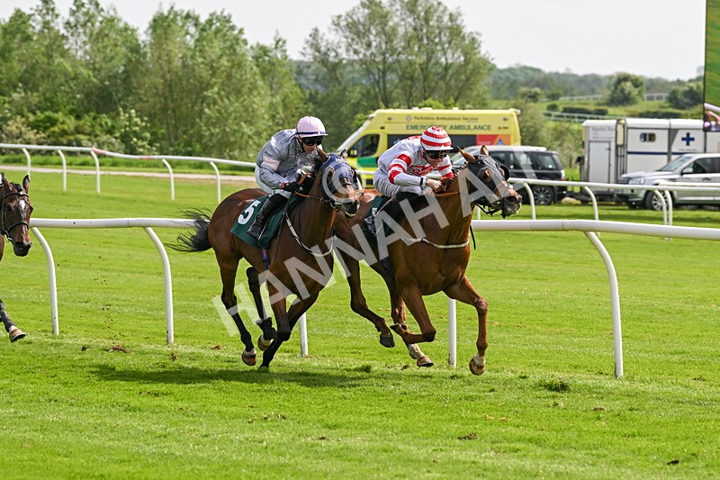 130524-Race 3-Animato-0256