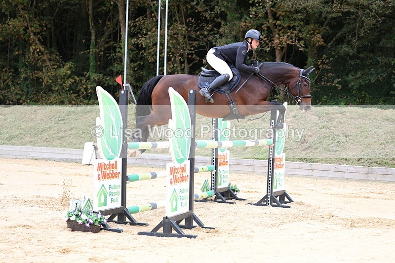 3E7A3375 - Class 9: Senior Foxhunter/1.20 open