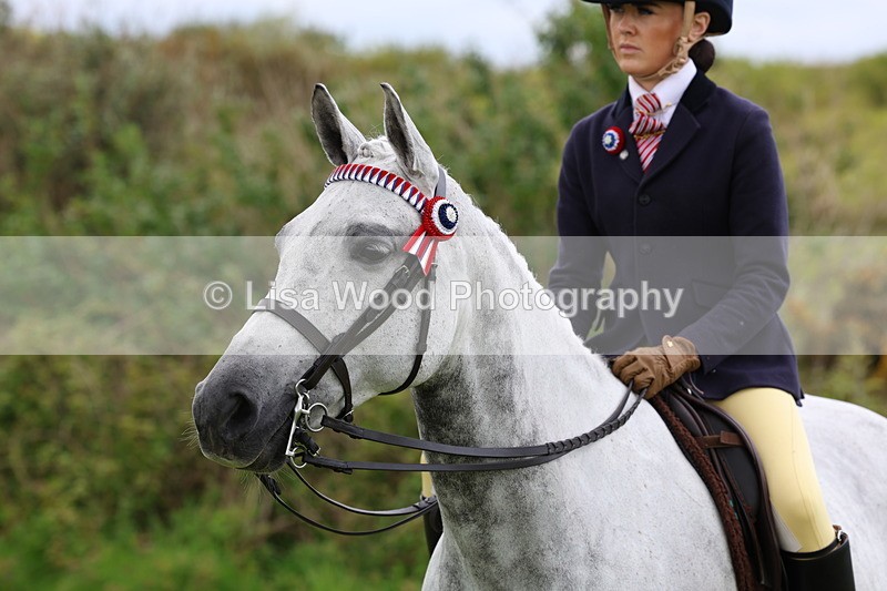 3E7A2126 - Class 11: Ridden Arab