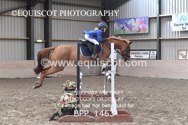 BPP_1463 - CLASS 4 Springboard 128cm/ 138cm Restricted Handicap