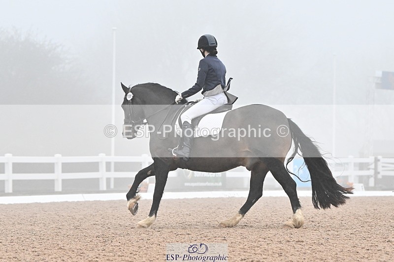 240217A-133349-03196 - 125-Rebecca.Ezra-Ham-Maesmynach.Mr.Sam