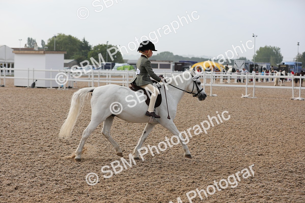 SBM_09654 - Class 301 Ridden M&M -Small Breeds