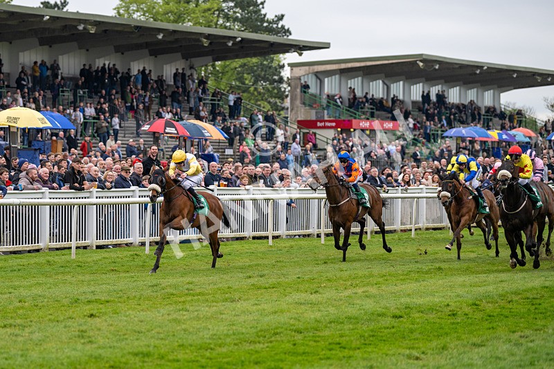 040524-Race 2-Wobwobwob-4067 - Race 2