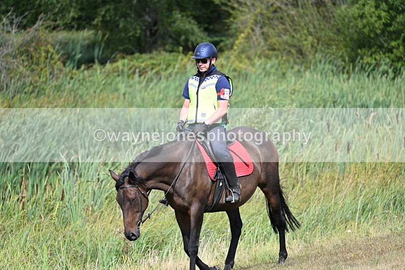 WJ7_5234 - Time 11:22 to 11:41