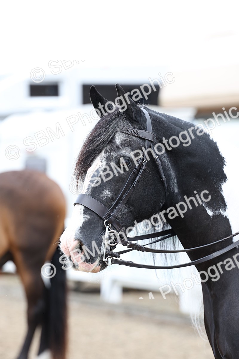 SBM_01429 - Class 51 - Best Turned Out Ridden