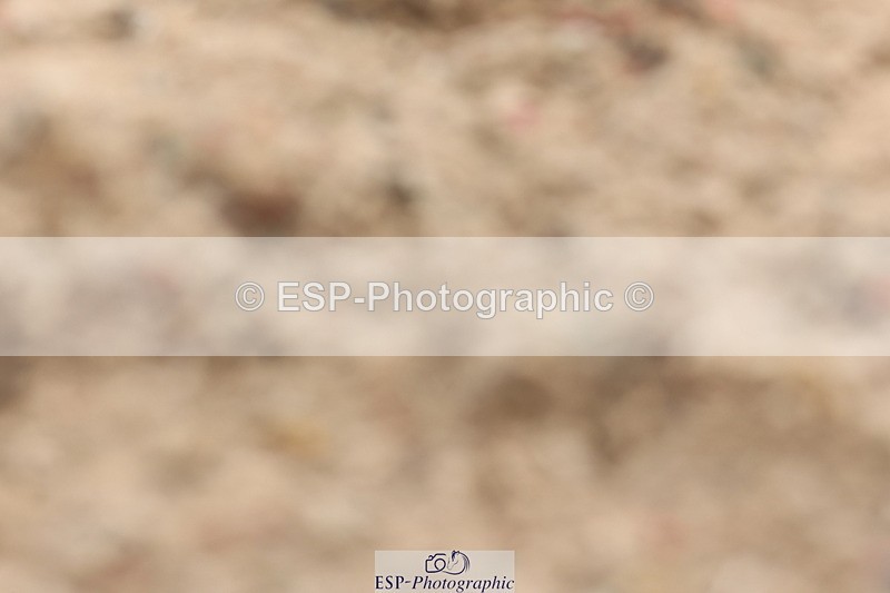 240622A-104611-08951 - Cls 26 BD Novice 22