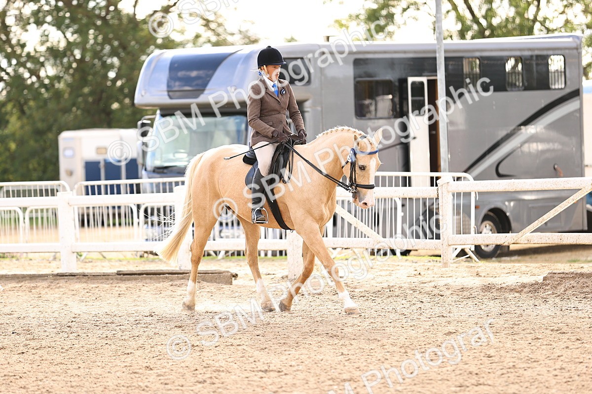 SBM_18221 - Class 423 - Equitation (best rider) Adult