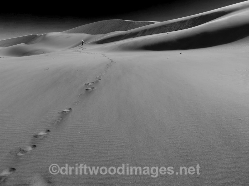 Namibia Swapokmund dune 7 and figure bw - Namibia, Southern Africa