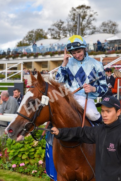 141023-Race 2-Whiskey Pete-0819 - Race 2 1.50pm Play Coral 'Racing-Super-Series' For Free Nursery Handicap