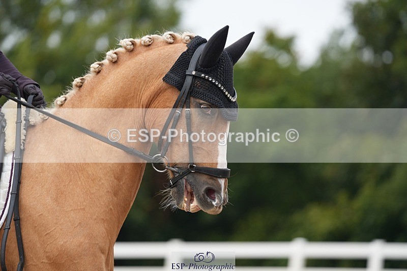 250907-152918-09544 - 121-Jodie.SmithAmber