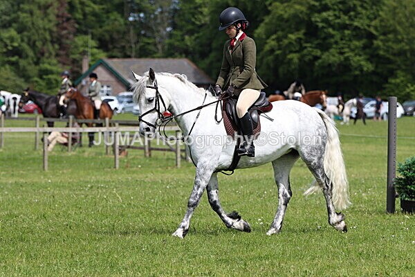 IMG_3403 - Working Hunter