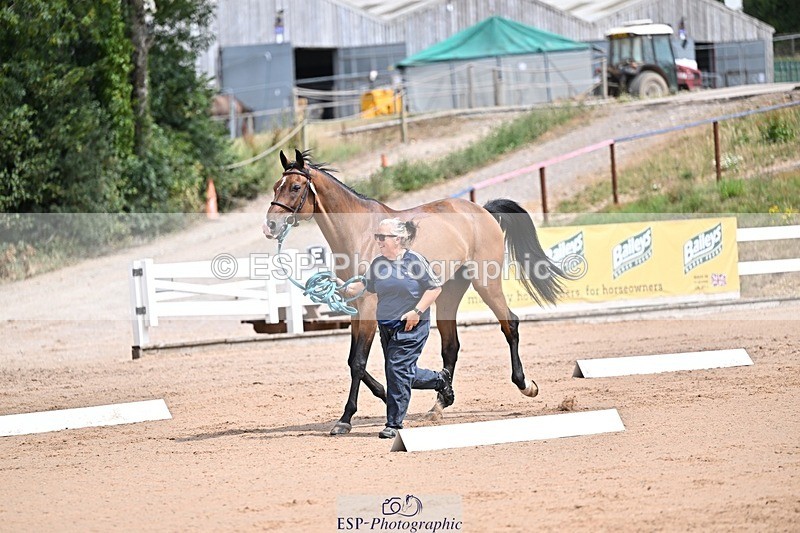 250716-125541-00224 - Trot Up 12.30 to 1.30