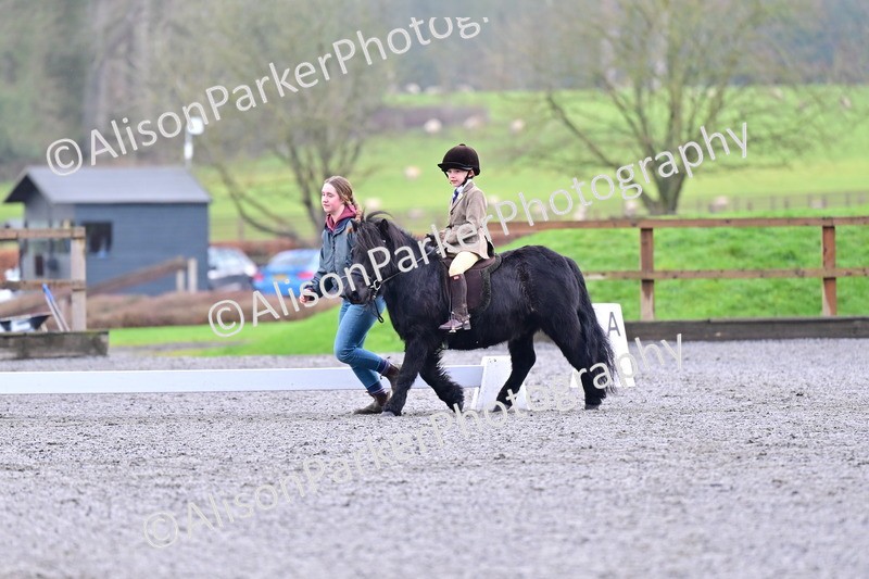 20260125-0990 - Class 9a - Walk Trot Assisted