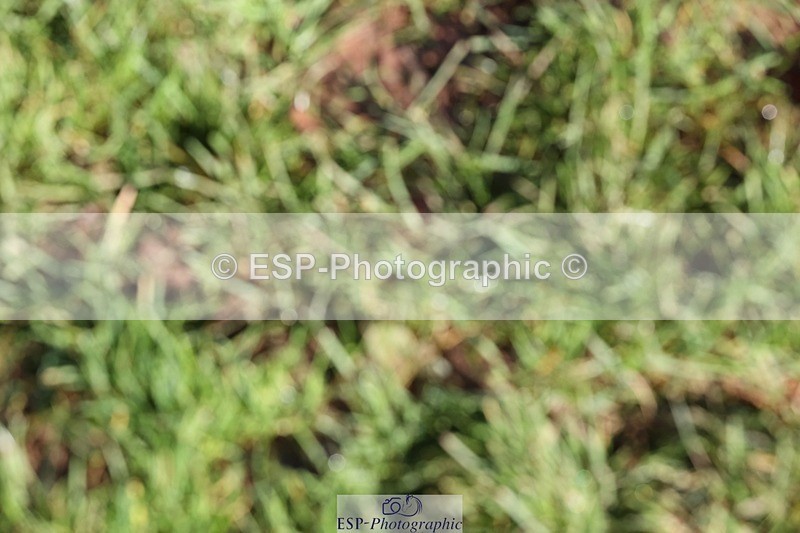 231022-120024-27185 - BE100 Presentations