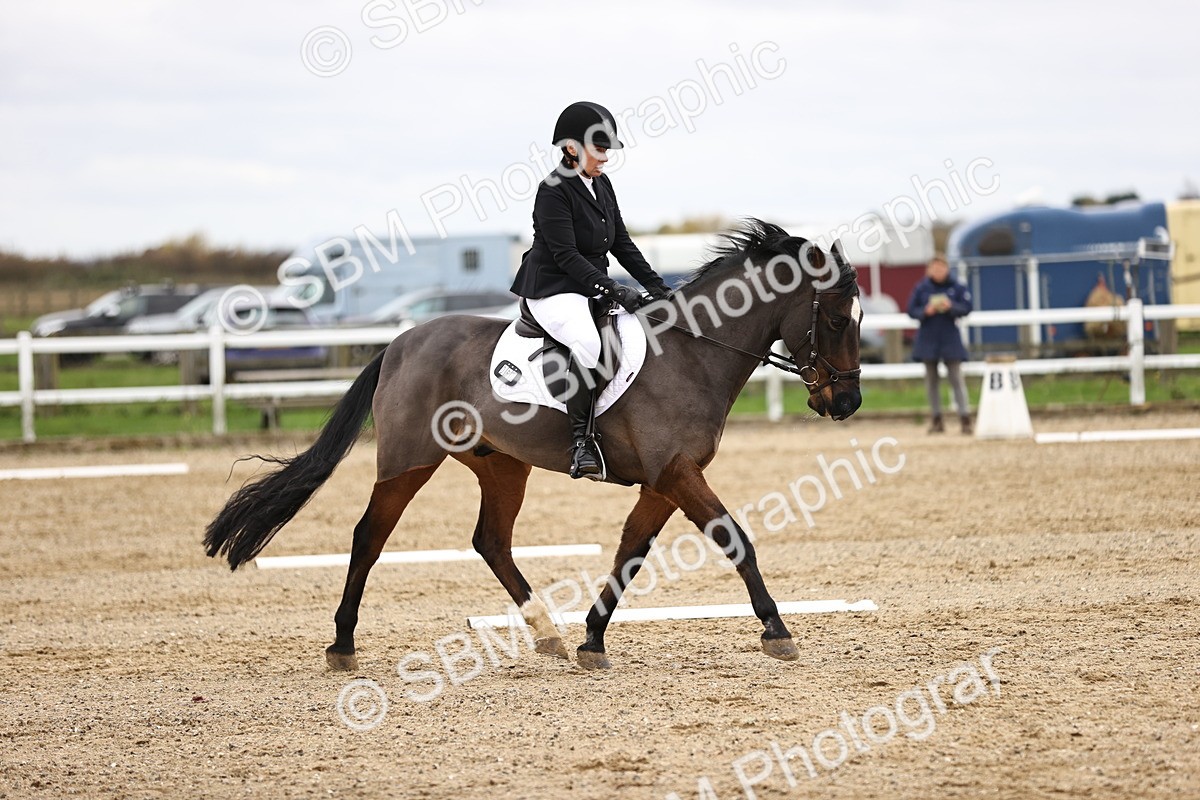 SBM_003510 - Class 11 - Elementary 1