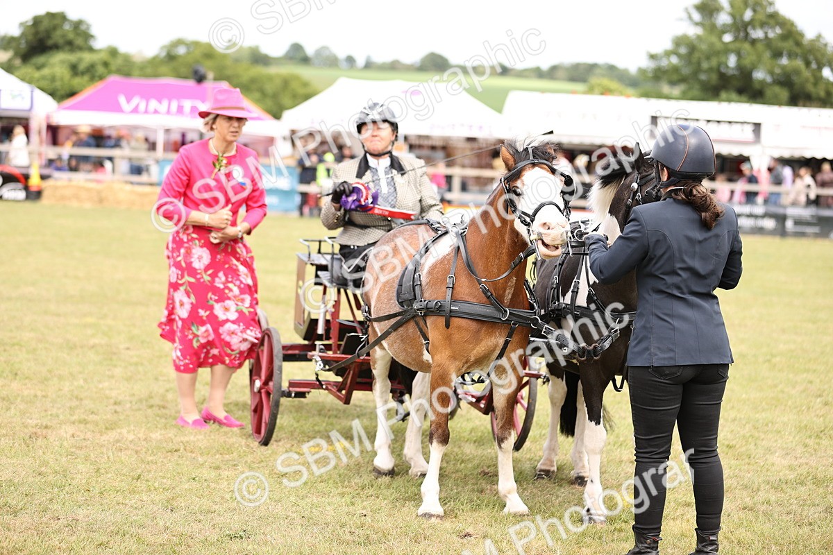SBM_16121 - Class 91 - Scurry  exceeding 122cms
