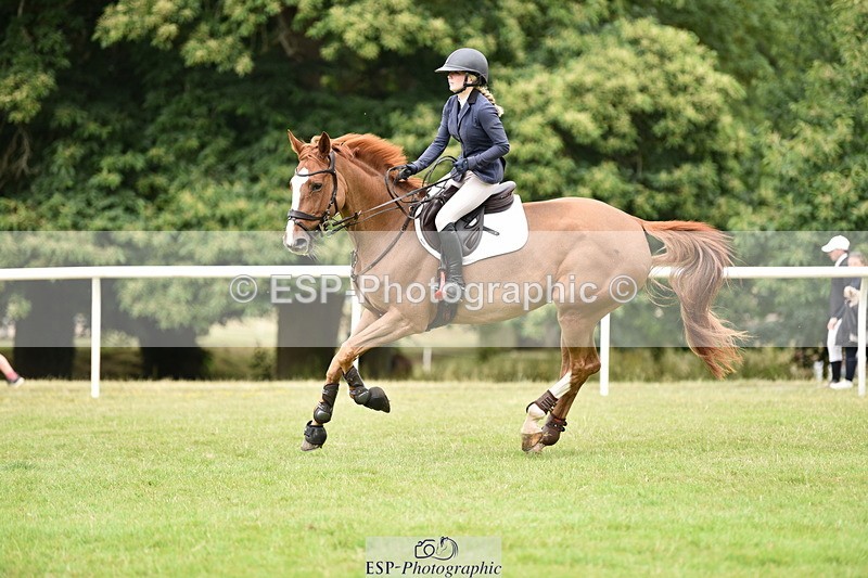 260704A-104208-12853 - Cls 41 Snr Fox inc 6 Year Old