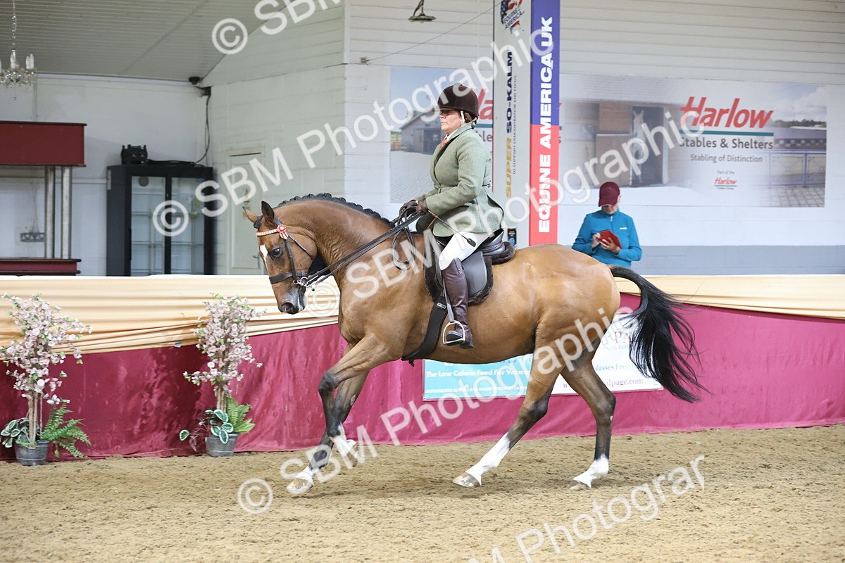SBM_23814 - class 906 - Supreme Final - Ridden Pre Vet