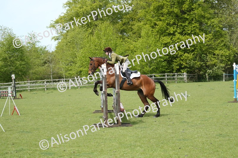 20260426-2041 - Class 15 - Absolute Novice 70cm