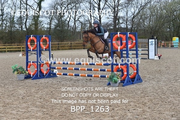 BPP_1263 - CLASS 4 Club/ Unaffiliated 80cms Open