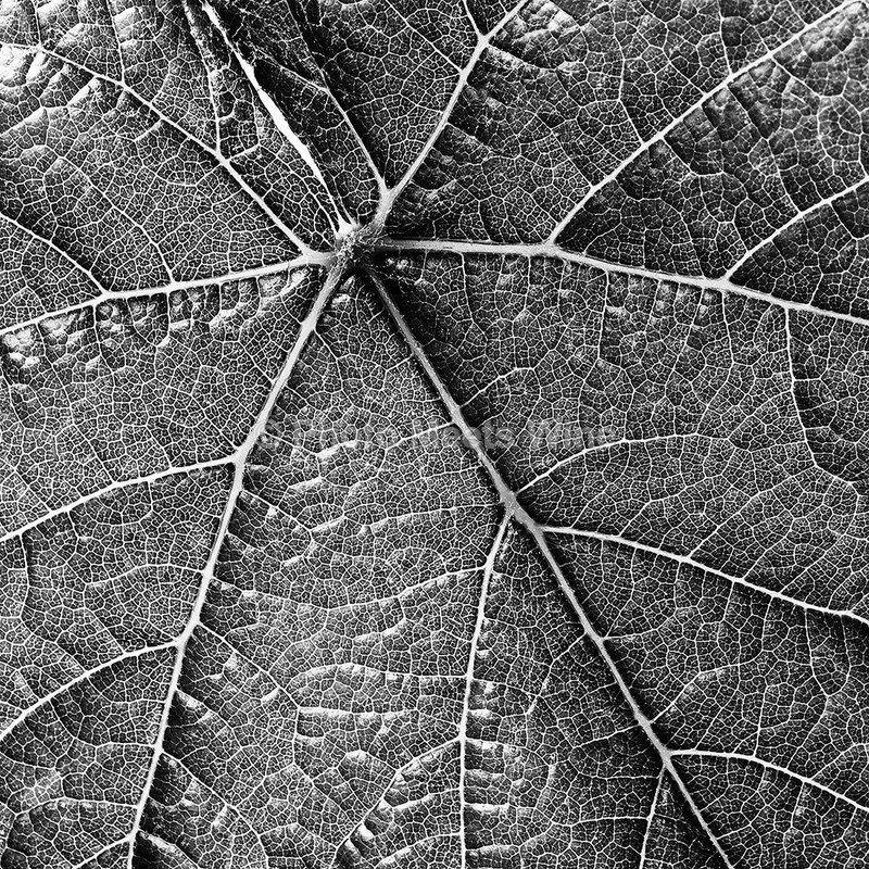  - Details & Abstracts / Details & Abstrakte Bilder
